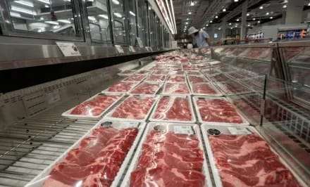 En el primer semestre de 2025, las exportaciones de carne vacuna en Argentina disminuyeron un 16,4%